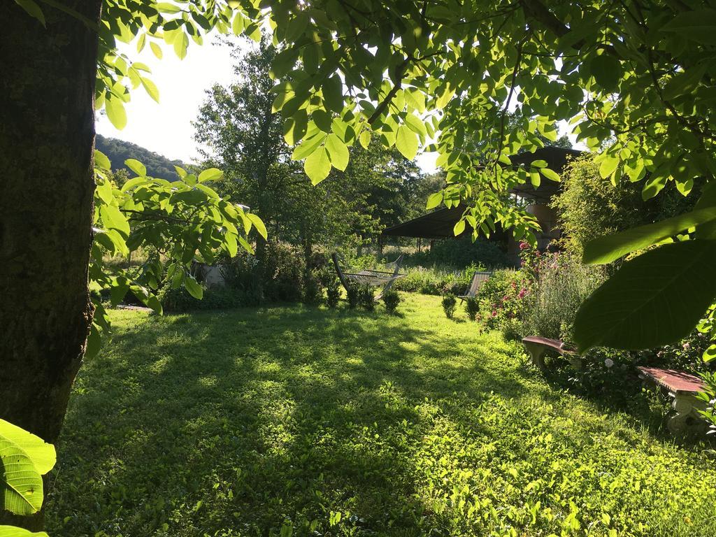 Capannacce Organic And Horse Farm Villa Rapolano Terme Eksteriør billede
