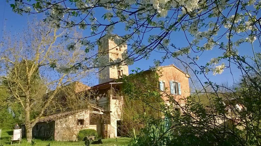 Capannacce Organic And Horse Farm Villa Rapolano Terme Eksteriør billede